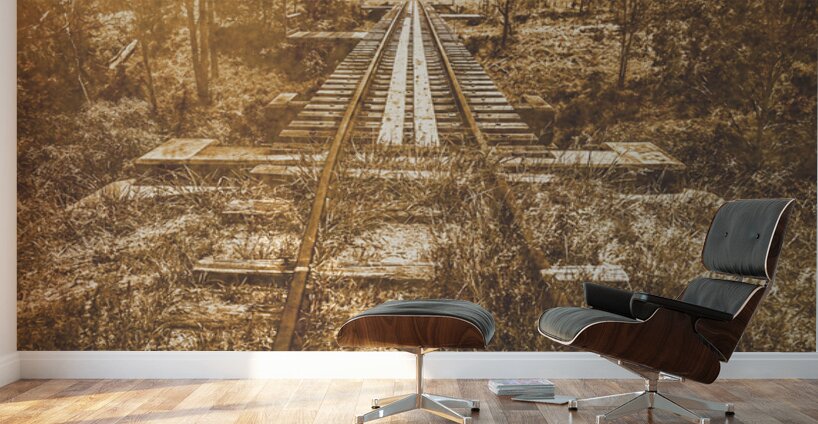Ideraway Rail Crossing Wall Murals