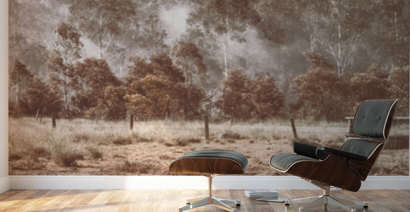 Misty Beauty Wall Murals