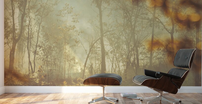 Wild Vagueness Wall Murals