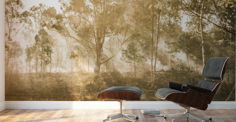 Branch Creek Magic Wall Murals