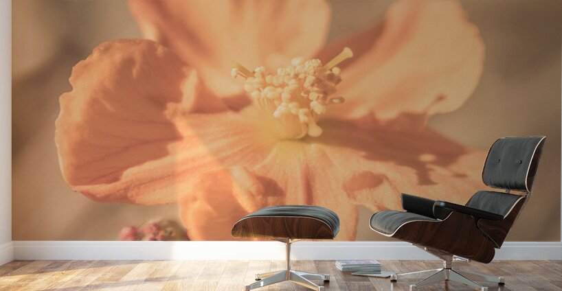 Wildflower Wonders Wall Murals