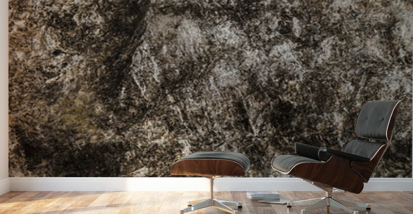 Shaped By Weather And Time Wall Murals