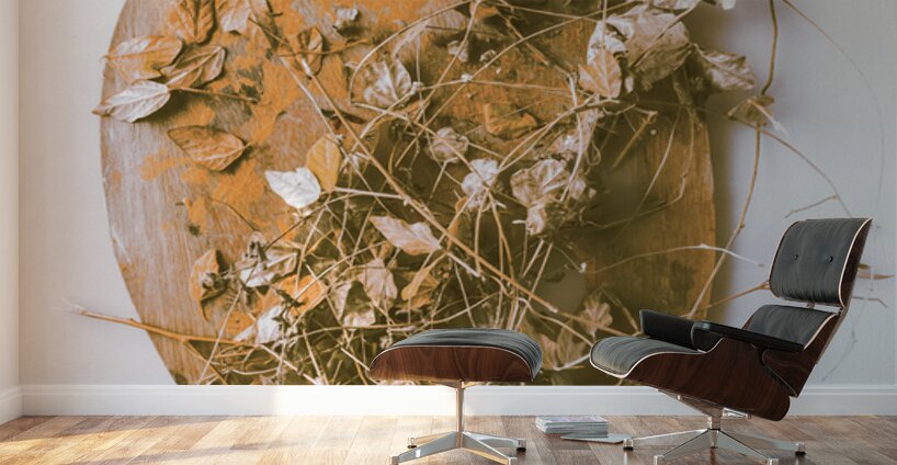 Autumns Palette Wall Murals