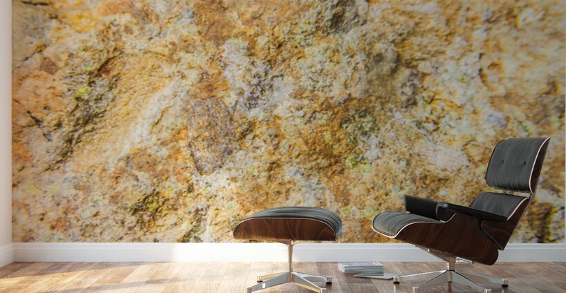 Flecks And Specks Wall Murals