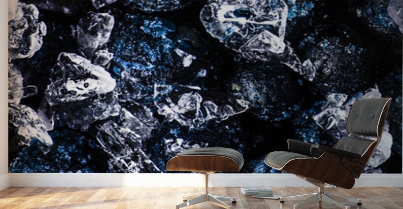 Drinks In Detail Wall Murals