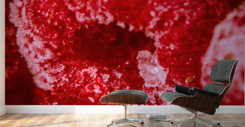 Raspberry Macro Photography Wall Murals