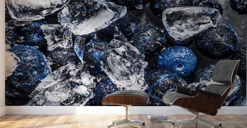 Summer Berries Wall Murals