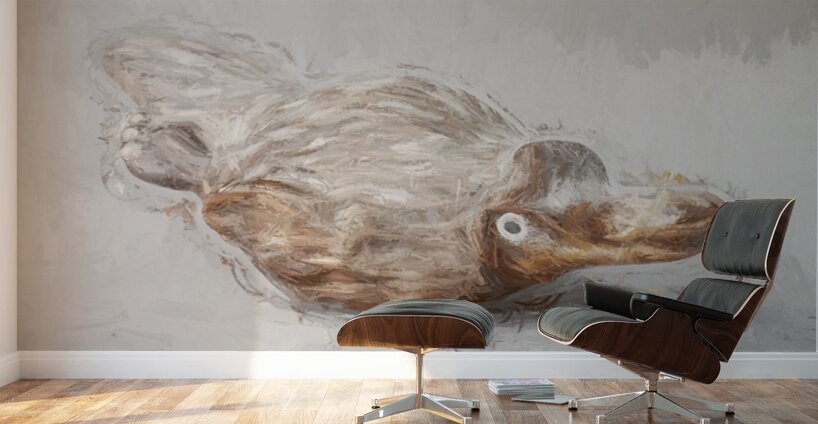 Playful Platypus Wall Murals