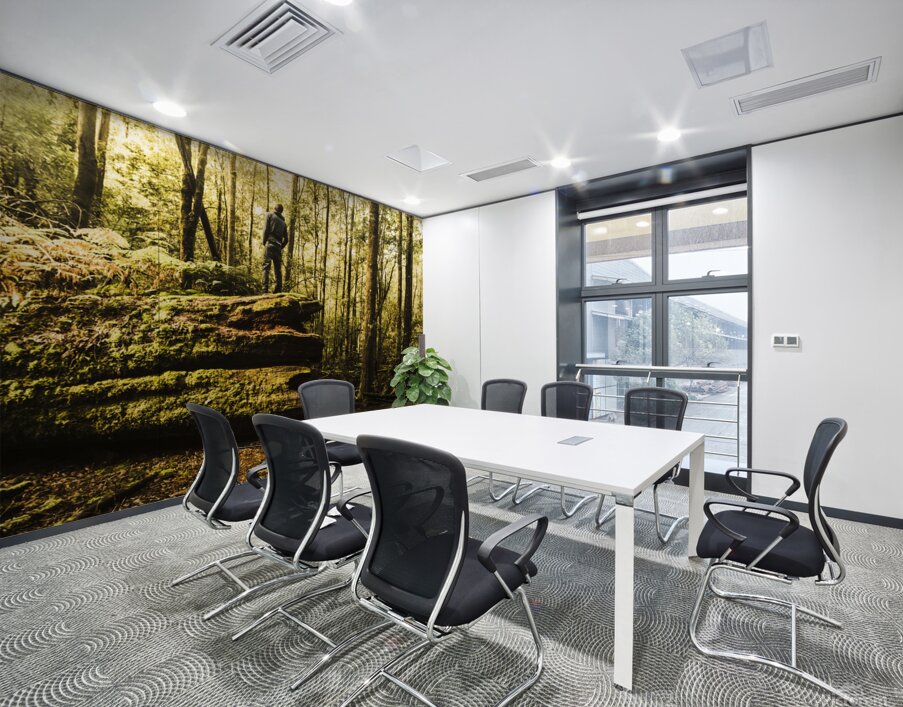 Tourist Hiking Mount Field Tasmania  Wall Printing