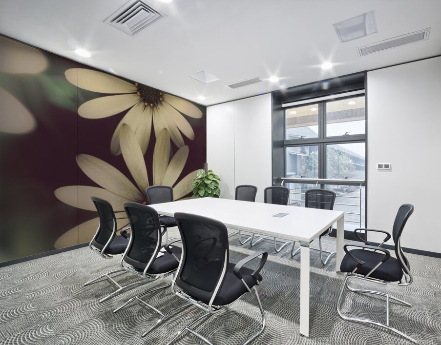 Two daisies growing in a spring garden field Wall Printing