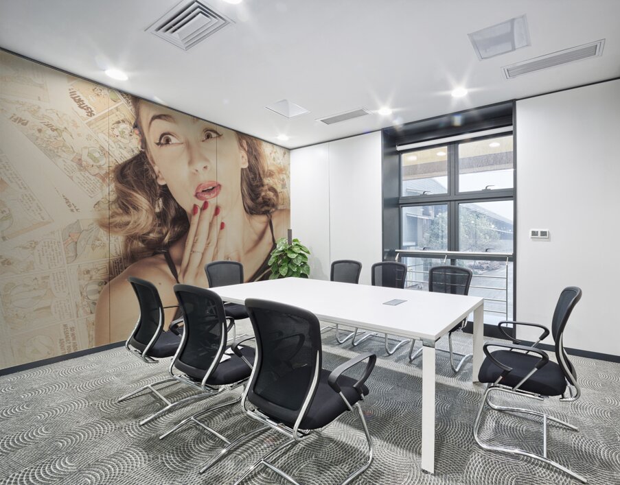 Comics collector pin up girl Wall Printing