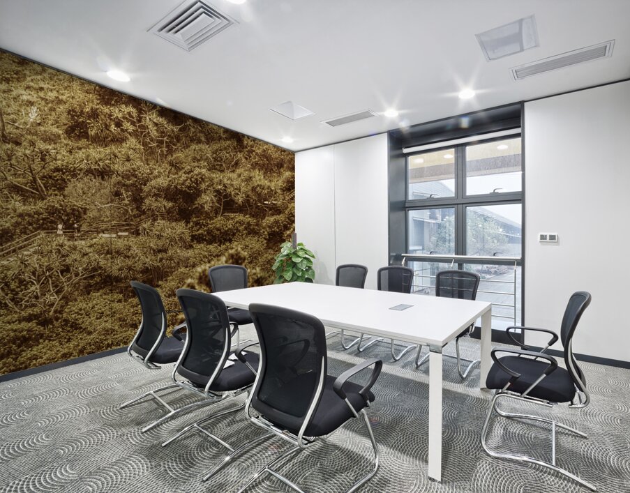 Woodland walk Wall Printing