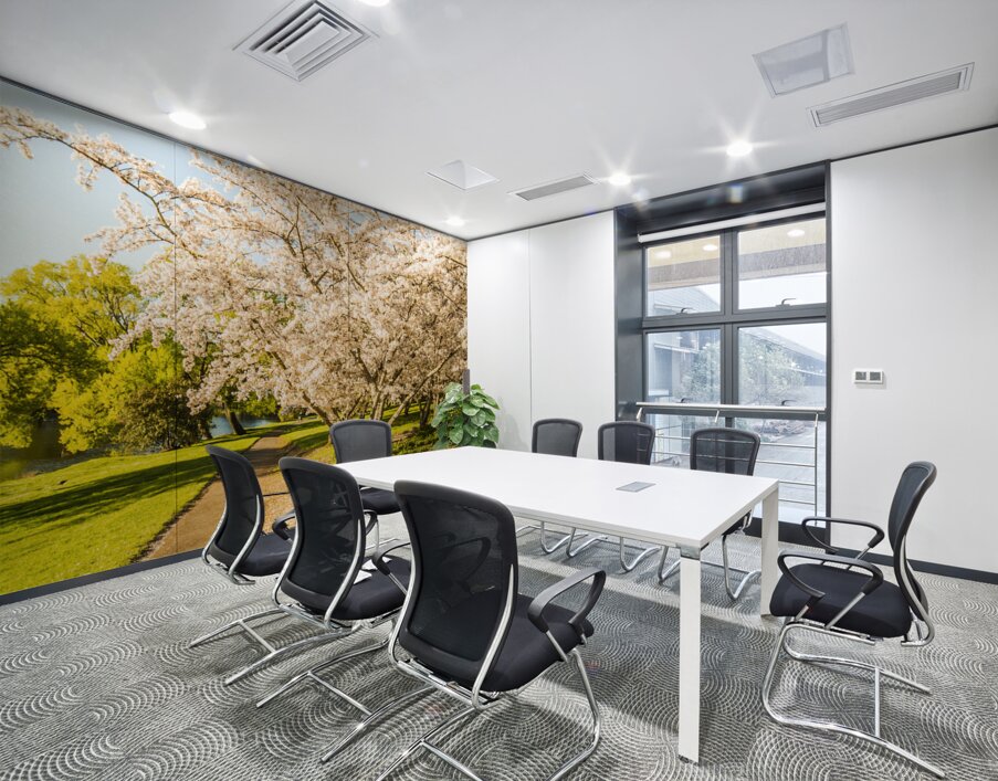 Cherry blossom lane Wall Printing