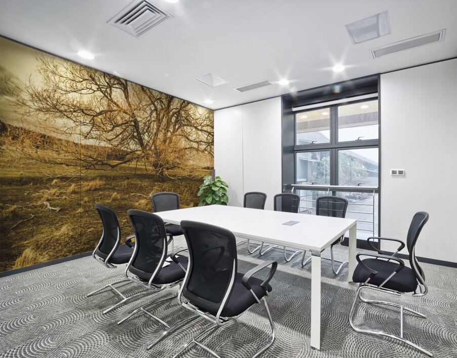 Dead tree in seasons bare Wall Printing