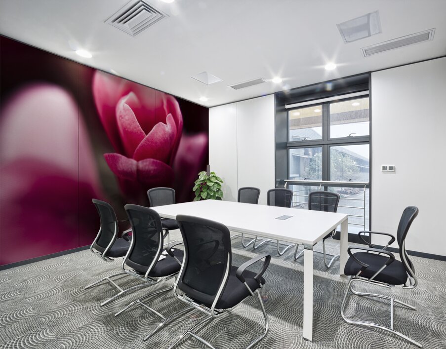 Sparaxis Grandiflora flower macro Wall Printing