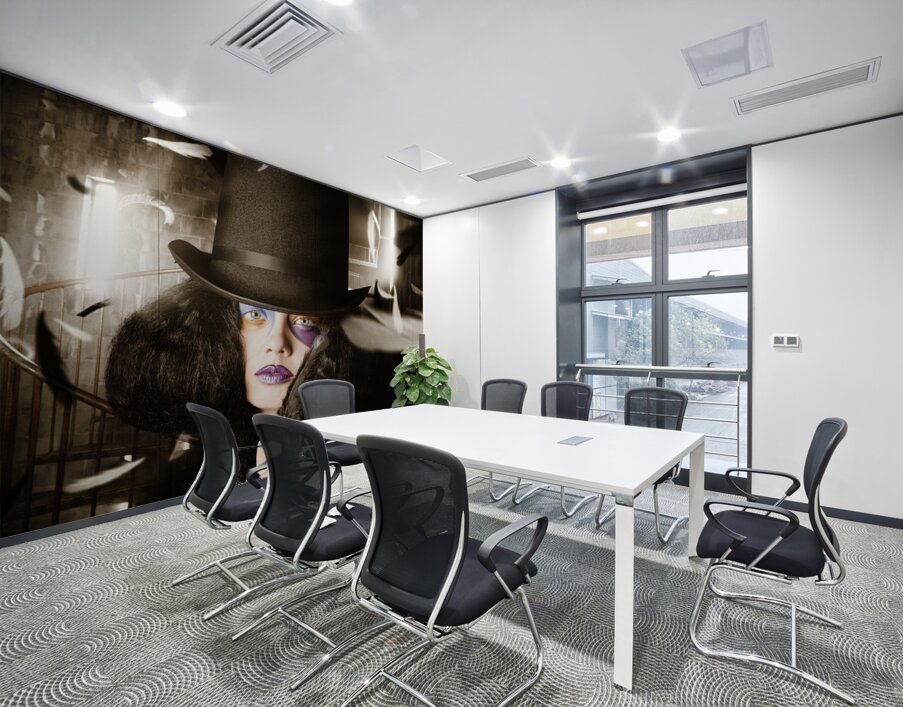 Feather carnival Wall Printing