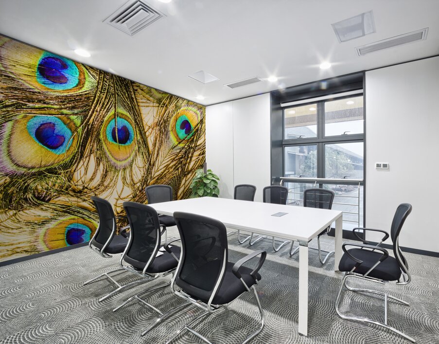 Peacock feathers still life Wall Printing