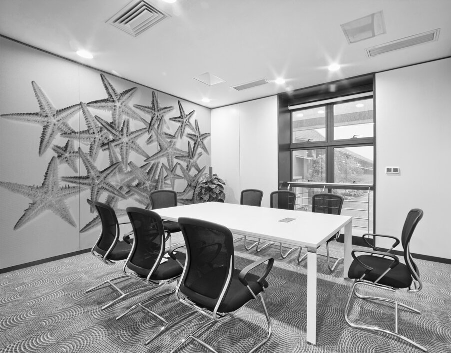 Sea staring Wall Printing