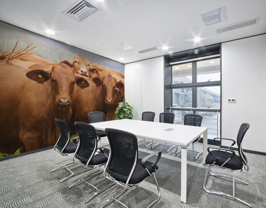 Mountain Cows Wall Printing