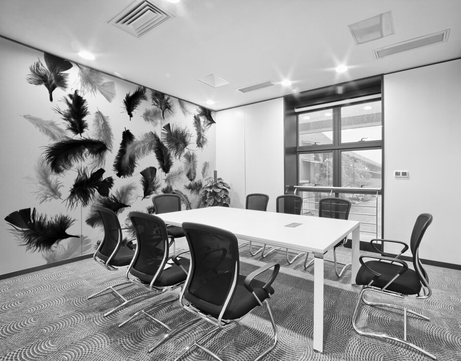 Flock in feather Wall Printing