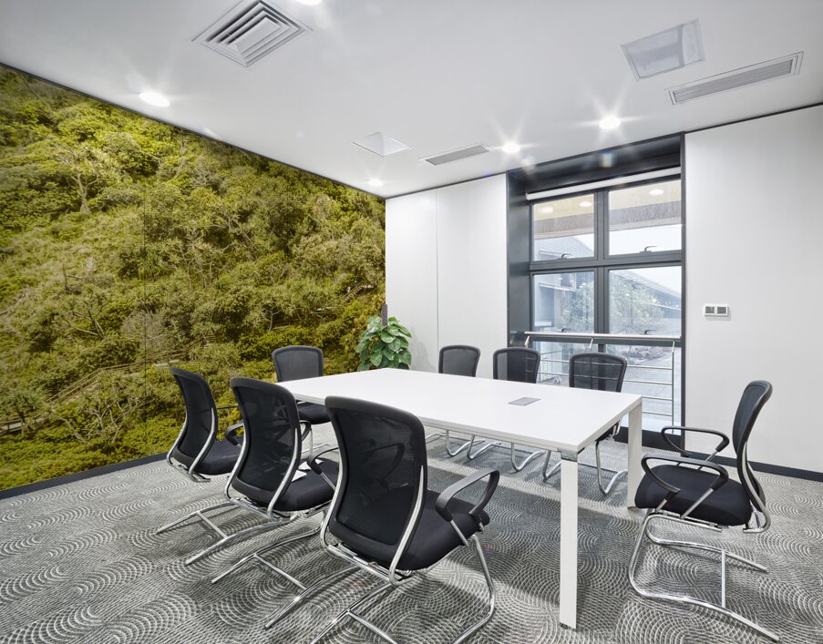 Forest footbridge Wall Printing