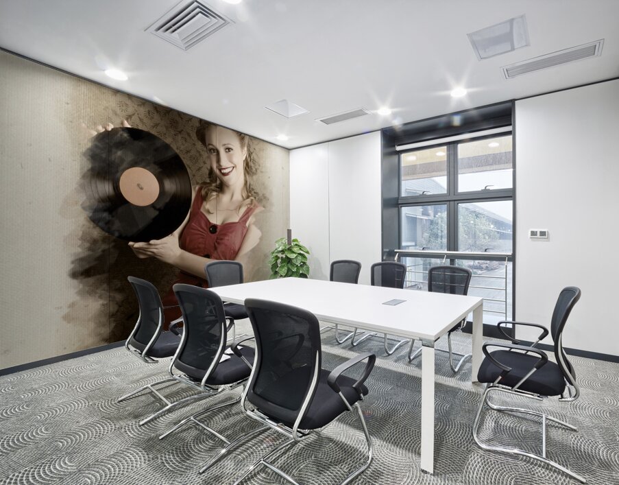 Pin-Up Rockabilly Woman Holding Vinyl Record LP Wall Printing