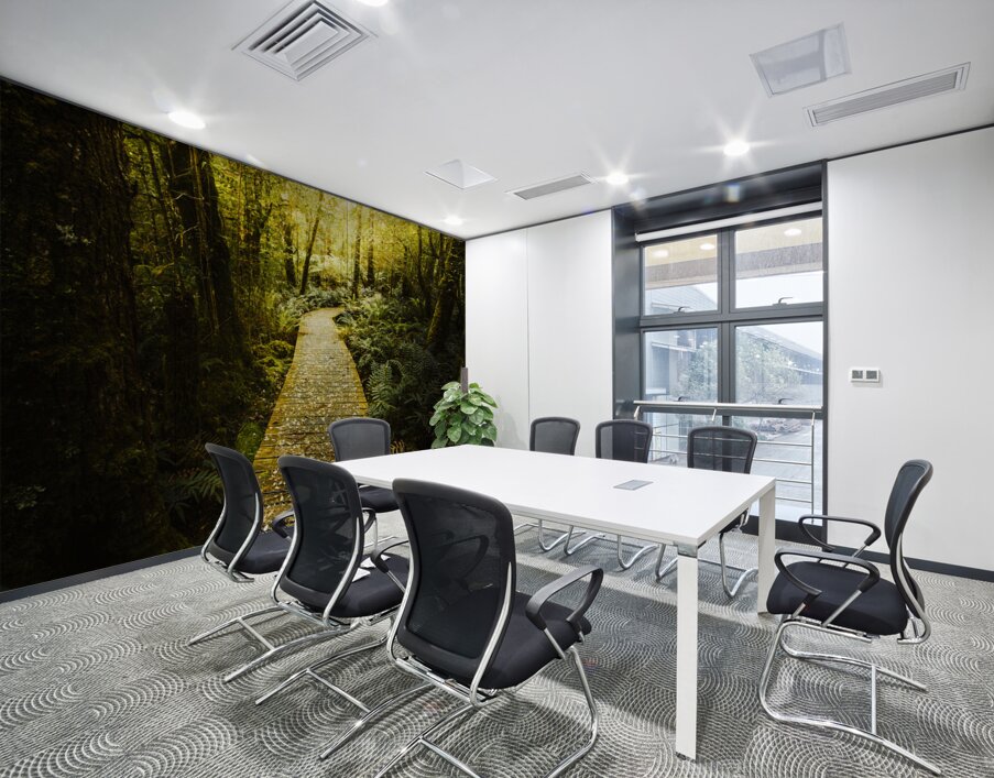 Lush Green Rainforest Walk Wall Printing
