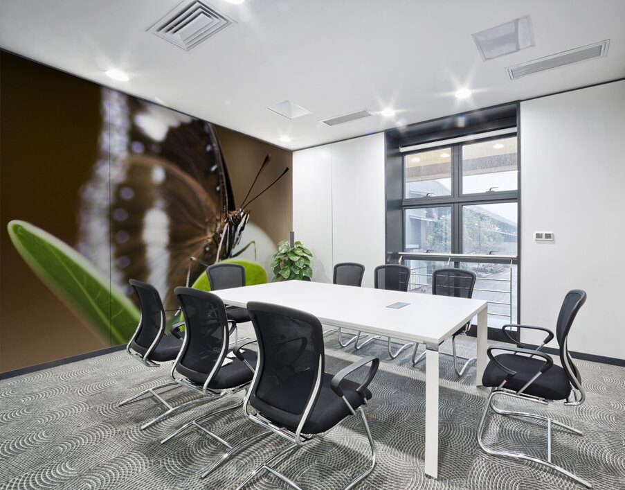 Beautiful Butterfly Wall Printing