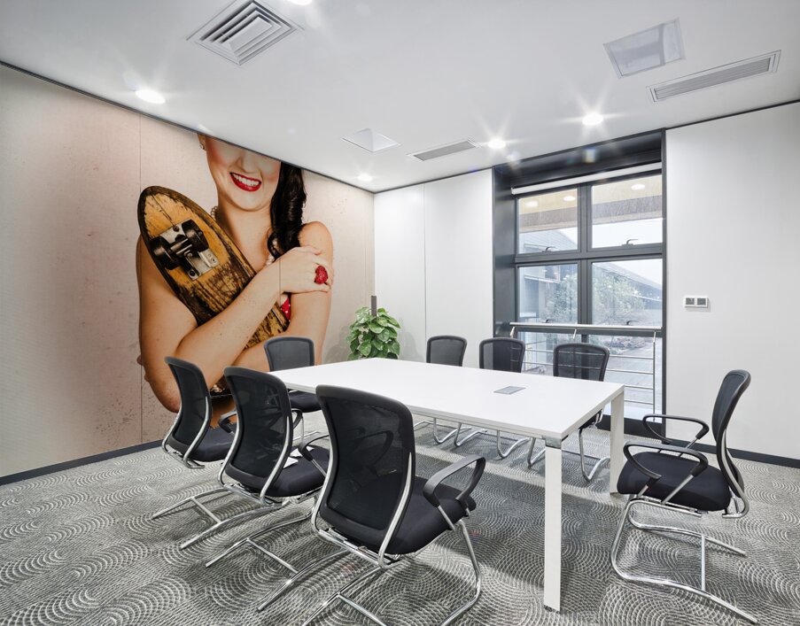 Vintage portrait of a pin-up model with skateboard Wall Printing