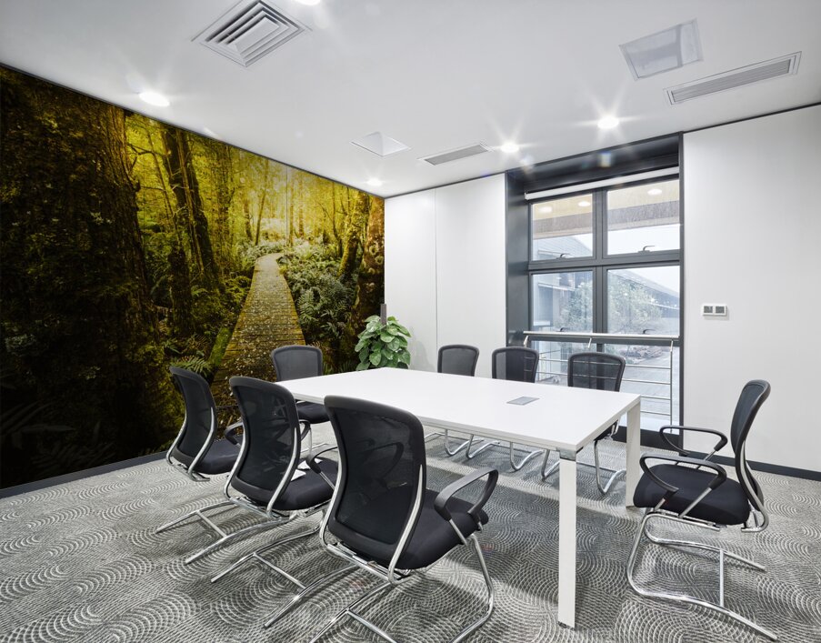 Tarkine Tasmania Trails Wall Printing