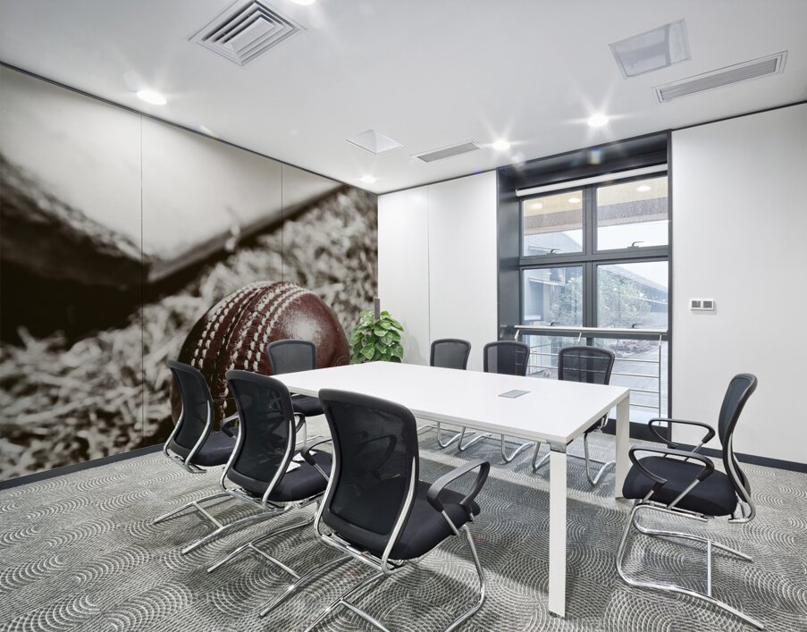 Vintage cricket Wall Printing