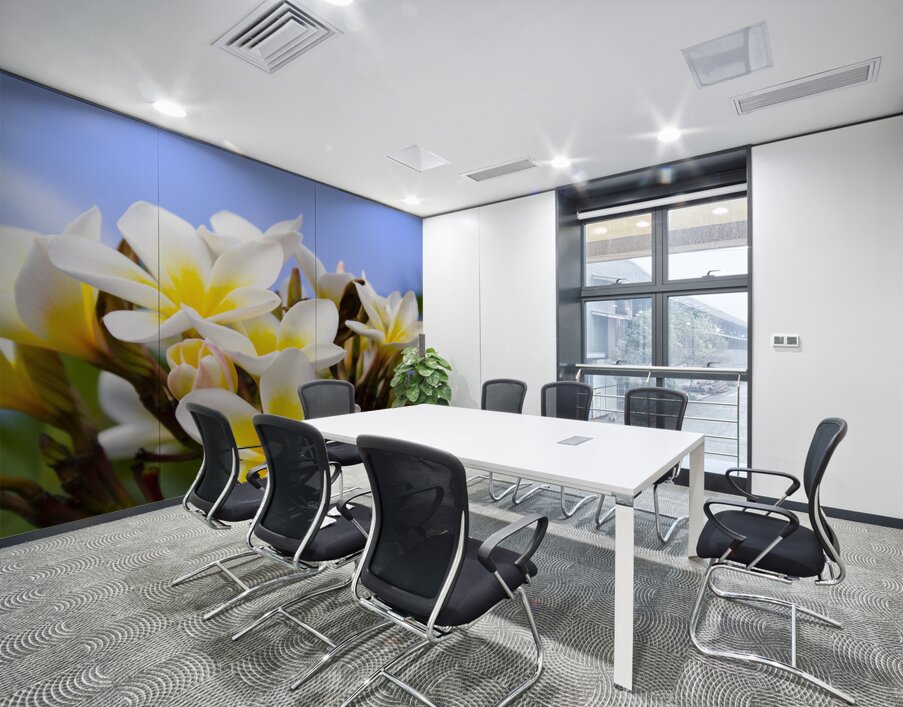 Beautiful white frangipani flowers Wall Printing