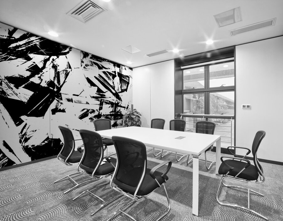 Feathermentary  Wall Printing