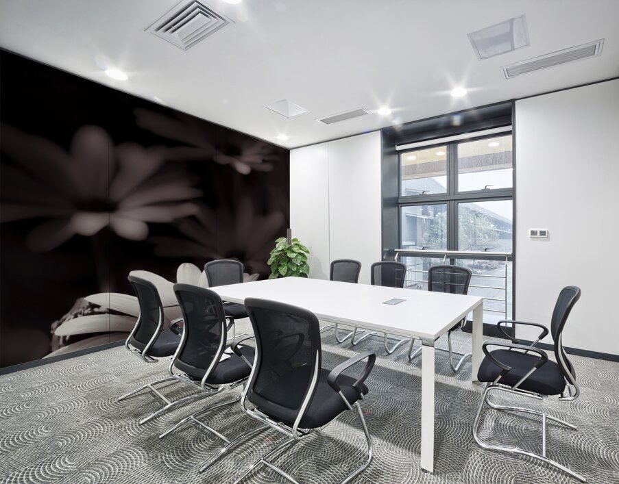 Field Of Daisies Wall Printing