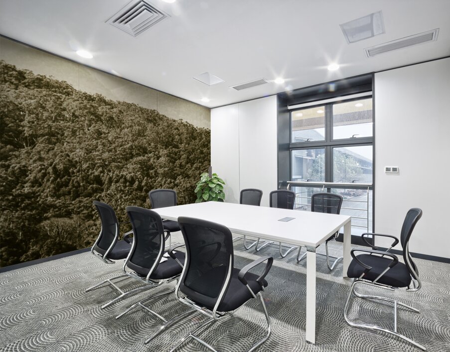 Glass House Mountains Wall Printing