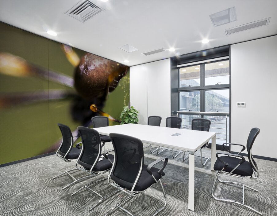 Golden Orb Spider Wall Printing