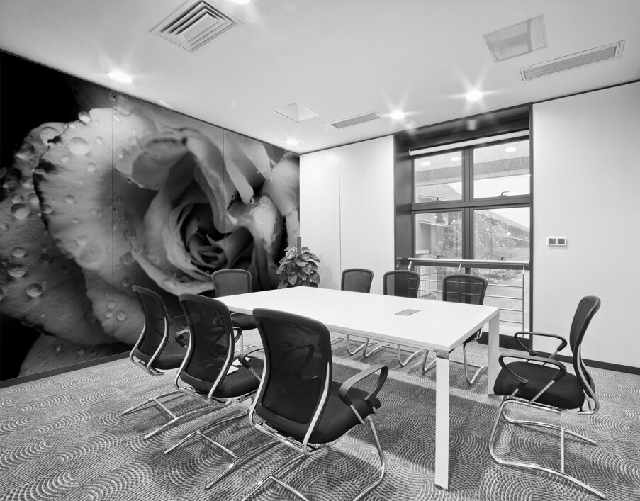 Rose n rain Wall Printing