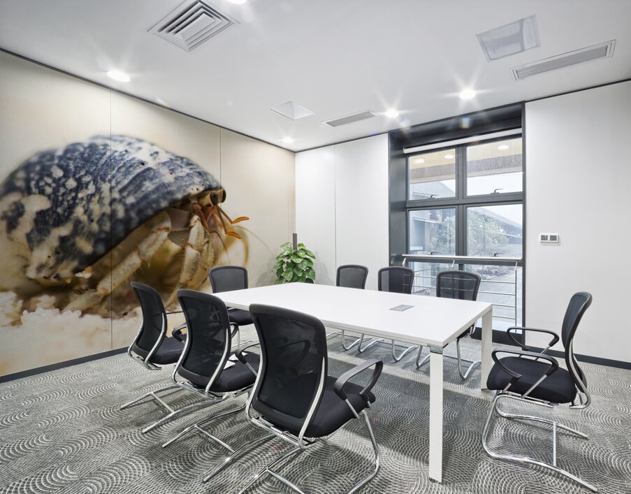 Harry Hermit Crab Wall Printing