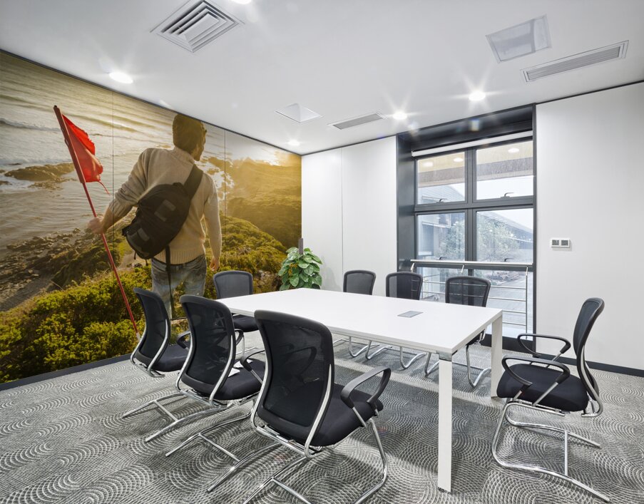 Spirit of Tasmania Wall Printing