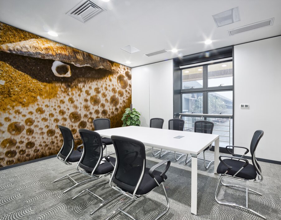 Sea shells and ocean ripples Wall Printing