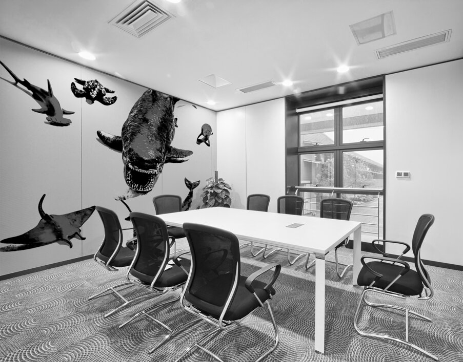 Greywaters  Wall Printing