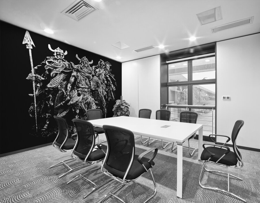 Viking hold Wall Printing