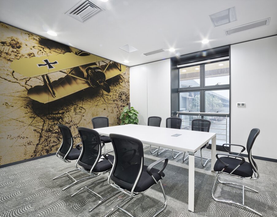 Antique Biplane On Old Map Wall Printing