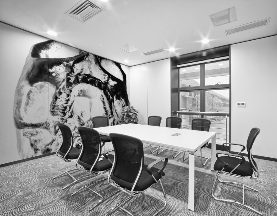 Skulls and dental records Wall Printing