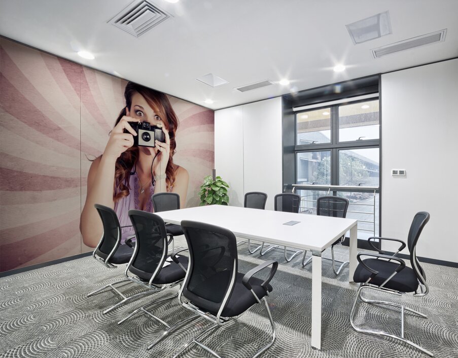 Pin-up Photographer Girl Taking Surprise Photo Wall Printing