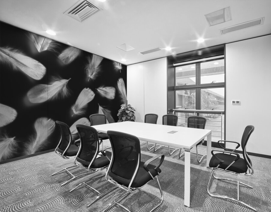 Fluff and feather Wall Printing