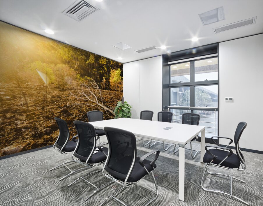 Country Clearing  Wall Printing