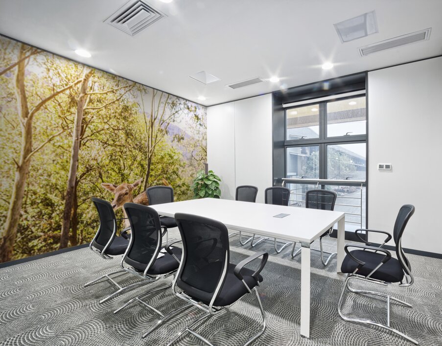 Deer Exploring A Sunlit Forest Field Wall Printing