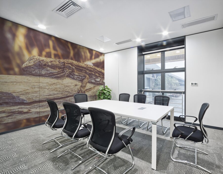 Wooded Dragon Wall Printing