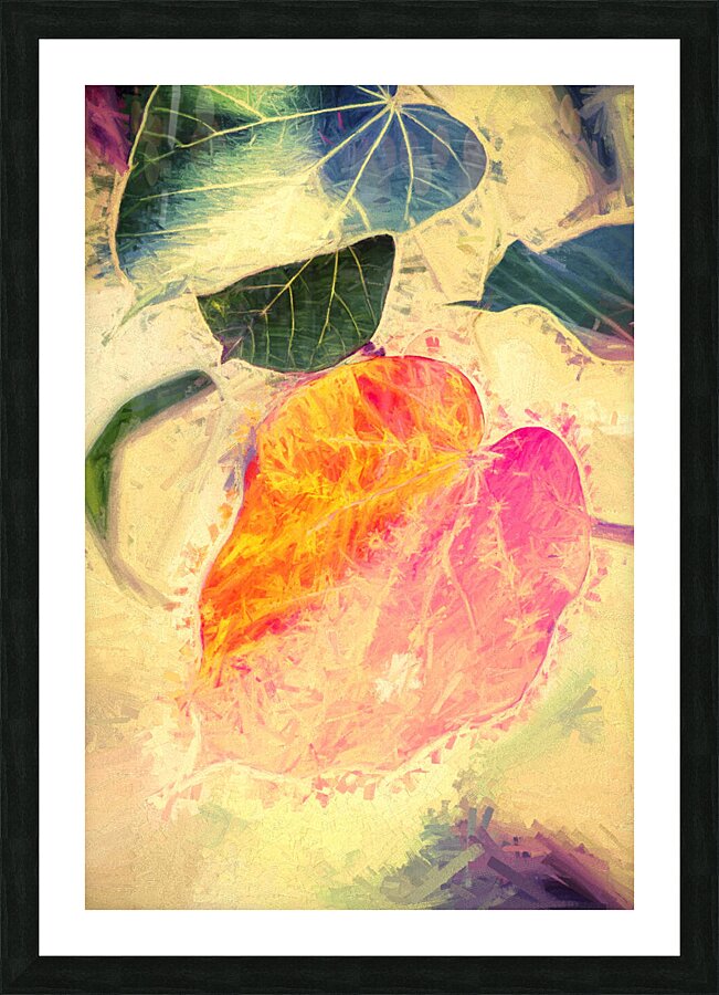  Fine Art print